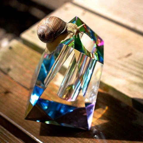 VASO REGENBOGEN IRREGULAR REG-IRR FUNDAMENTAL BERLIN