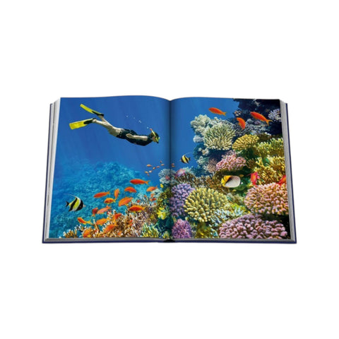 ASSOULINE OCEAN WANDERLUST