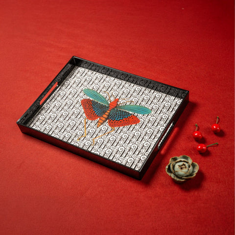 VASSOIO INSECT 2 PLATEAU LAQUE' RECTANGLE 40X30 BLUE SHAKER