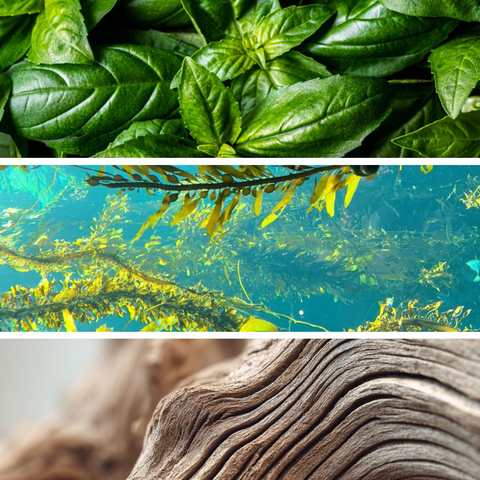 FRAGRANZA AMBIENTE ACQUA 500ML DR. VRANJES