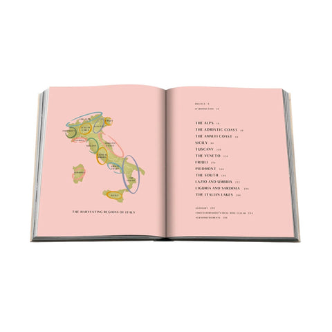 LIBRO WINE & TRAVEL ITALY ASSOULINE