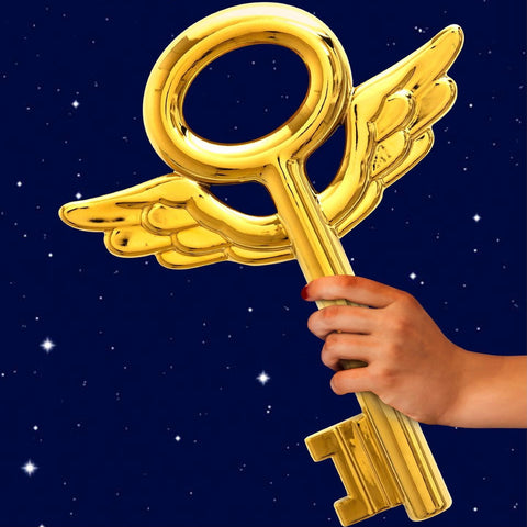 CHIAVE SELETTI PORCELLANA FREEDOM KEY ART 10057