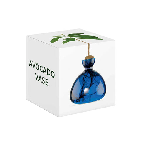 VASO AVOCADO LAPIS BLUE ILEX STUDIO ART. 003-6