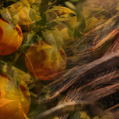 DR. VRANJES 1250 ML VANIGLIA MANDARNO