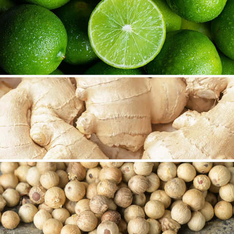 CANDELA DR. VRANJES GINGER LIME 3 KG PERLA 2.0