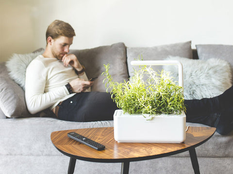 CLICK & GROW SMART GARDEN 3 WHITE