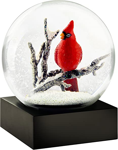 "COOL SNOW GLOBE CS216-CARS"