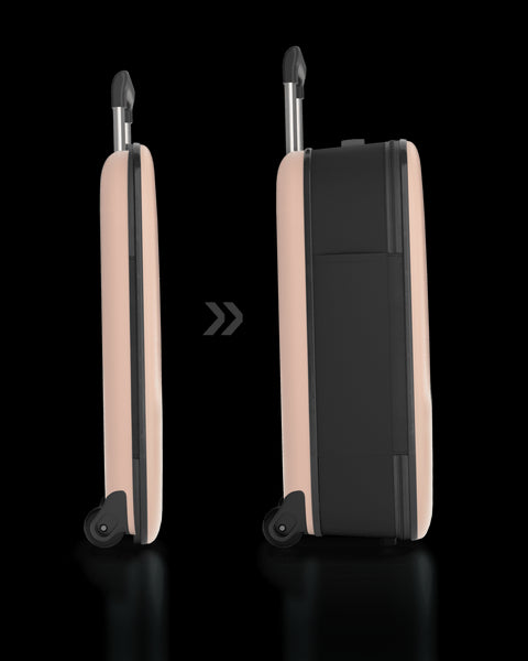 TROLLEY ROLLINK FLEX VEGA CABIN SIZE INT 21ROSE SMOKE 2 RUOTE