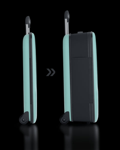 TROLLEY ROLLINK FLEX VEGA CABIN SIZE INT 21AQUIFER 2 RUOTE