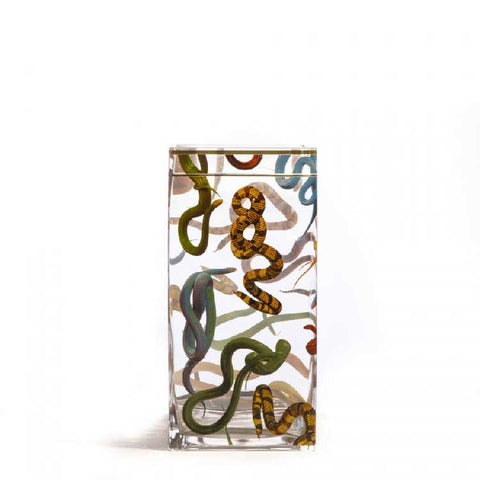 "VASO IN VETRO TOILETPAPER SELETTI CM.15X15 H.30 SNAKES ART. 14151"